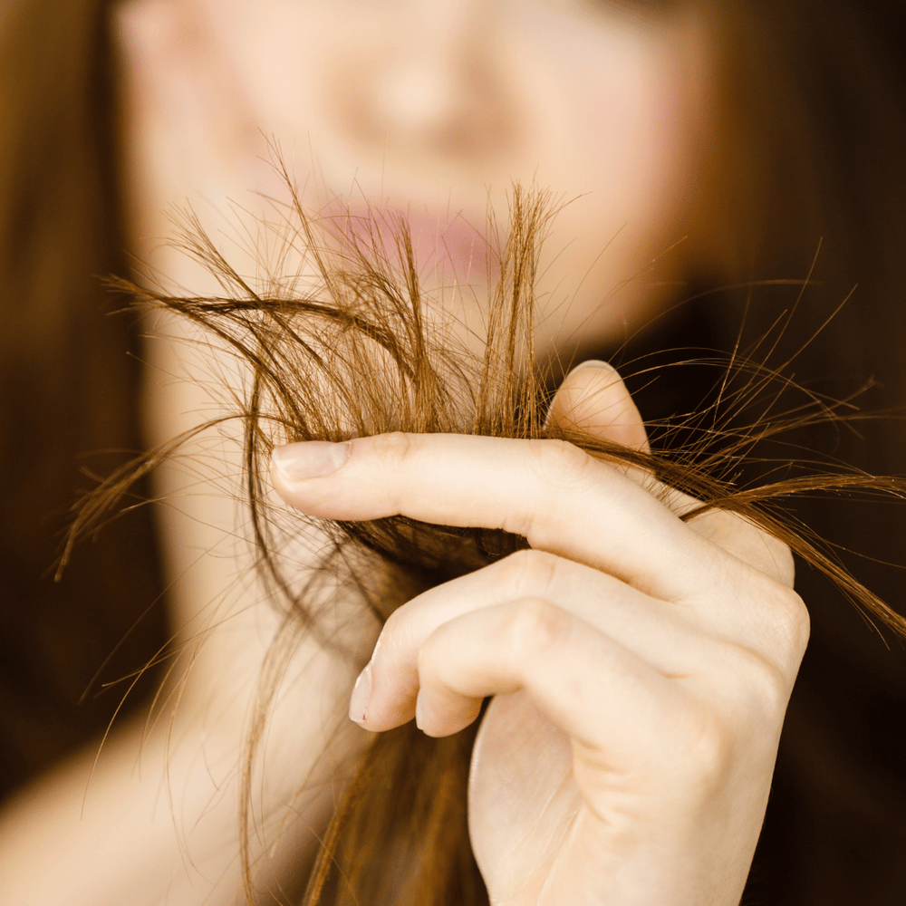 Masque cheveux secs