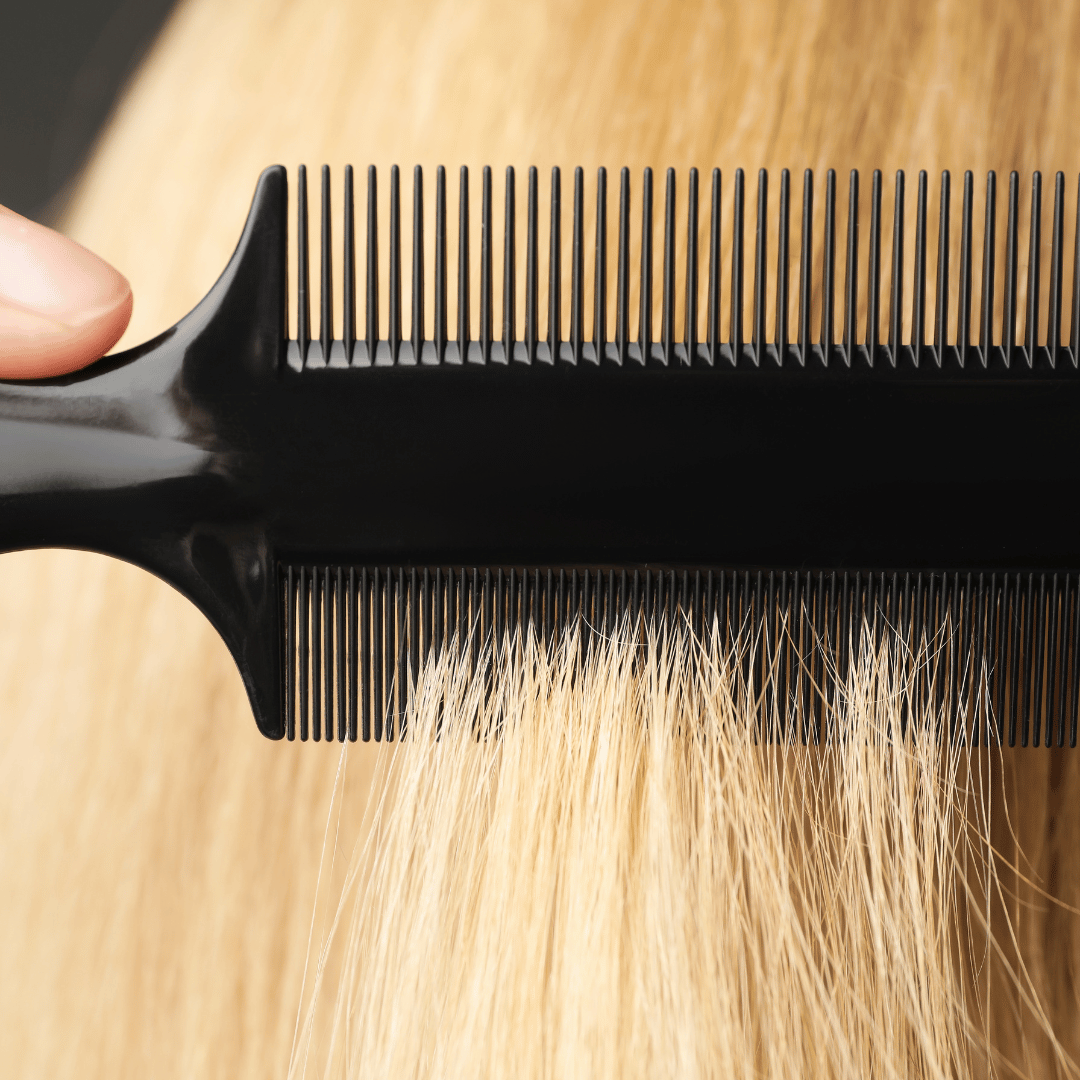 Shampoing cheveux secs